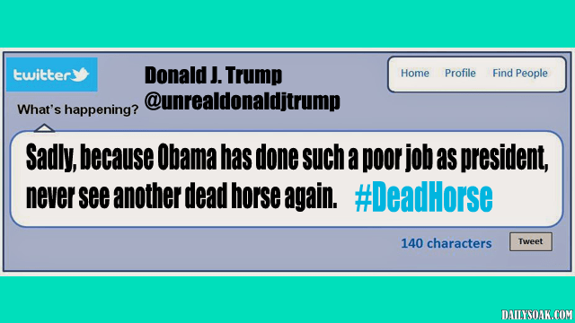 Woman Jailed For Beating A Dead Horse 64 Donald Trump satire Twitter tweet about a dead horse.