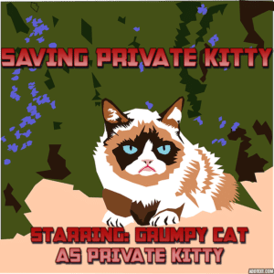 Promo poster for the upcoming Private Kitty movie with Grumpy Cat on the front.