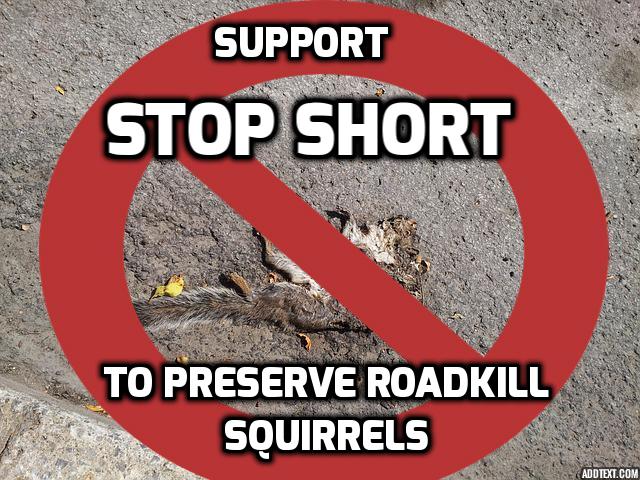 Funny satire non profit ad with a dead squirrel on road with a Ghostbusters cross over him.