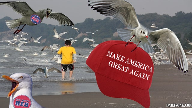 Boy in yellow shirt on California beach getting attacked by hundreds of pro-Hillary seagulls.