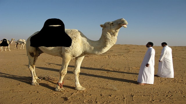 Funny satire of Saudi Arabia with camel wearing burka in desert in front of two Saudi men in white robes.