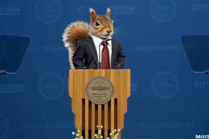 Funny satire of a squirrel as mayor of Boston standing at podium giving a political speech.