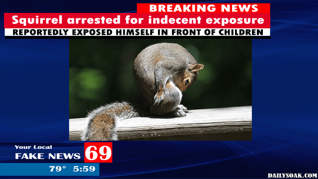 Parody news story about a squirrel arrested for indecent exposure.