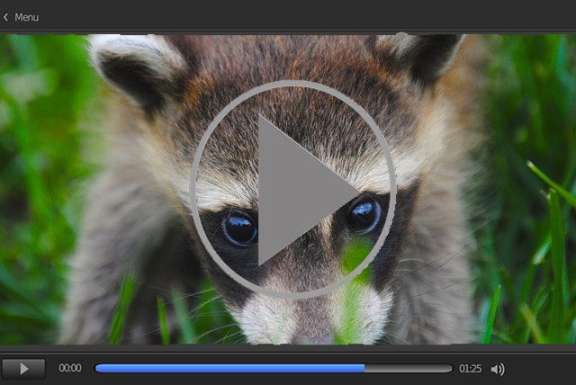 Funny satire YouTube video still of a raccoon attacking a woman.