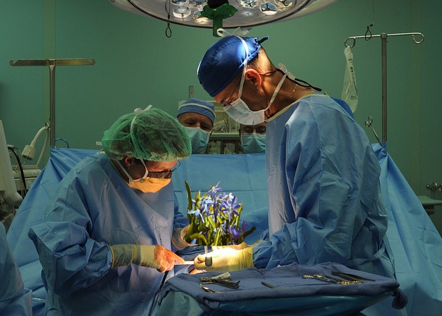 Satire of two surgeons wearing blue scrubs performing a surgery on a plant in operating room.