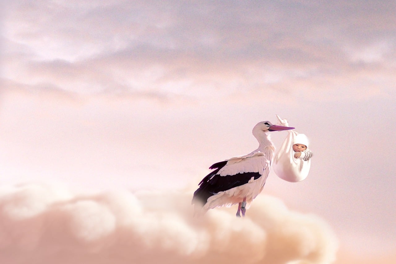A stork holding a baby in a blanket up in the clouds.