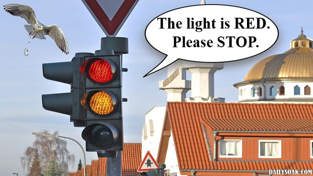 Traffic light in suburban street corner.