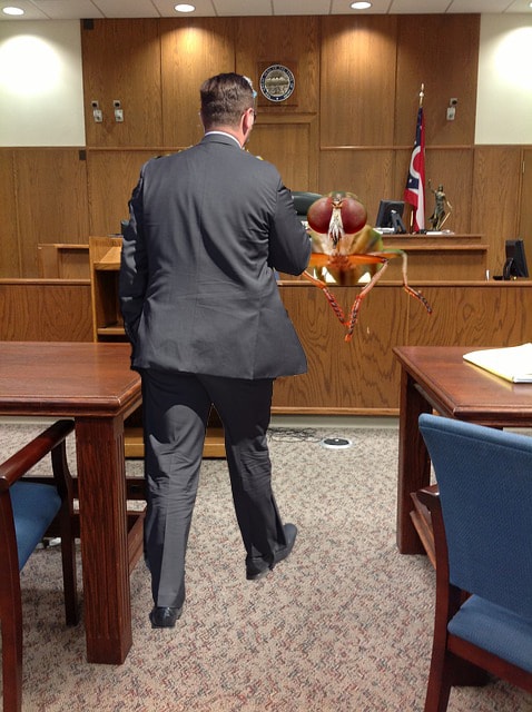 Satire of courtroom with a housefly on witness stand being questioned by lawyer.