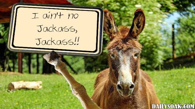 Brown mule animal holding up a sign saying he's not a jackass.