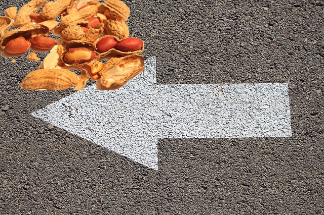 Closeup of white arrow on road with broken peanuts next to it.