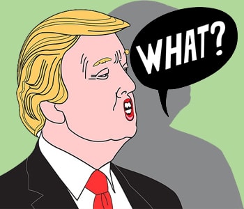 Funny cartoon of Donald Trump saying What?