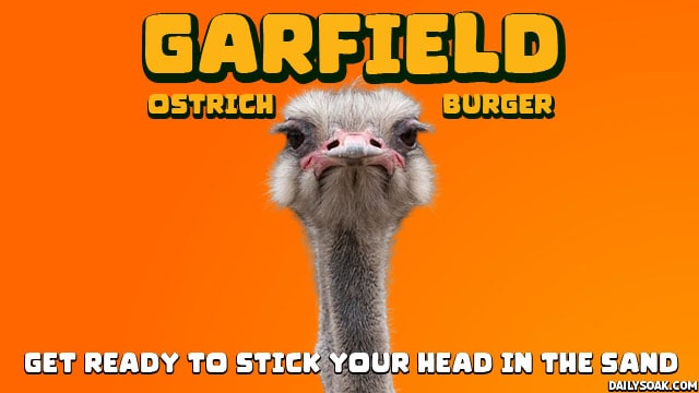 Parody of Garfield the cat with ostrich as Garfield.