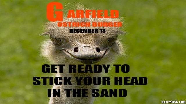 Parody of Garfield the cat with ostrich as Garfield.