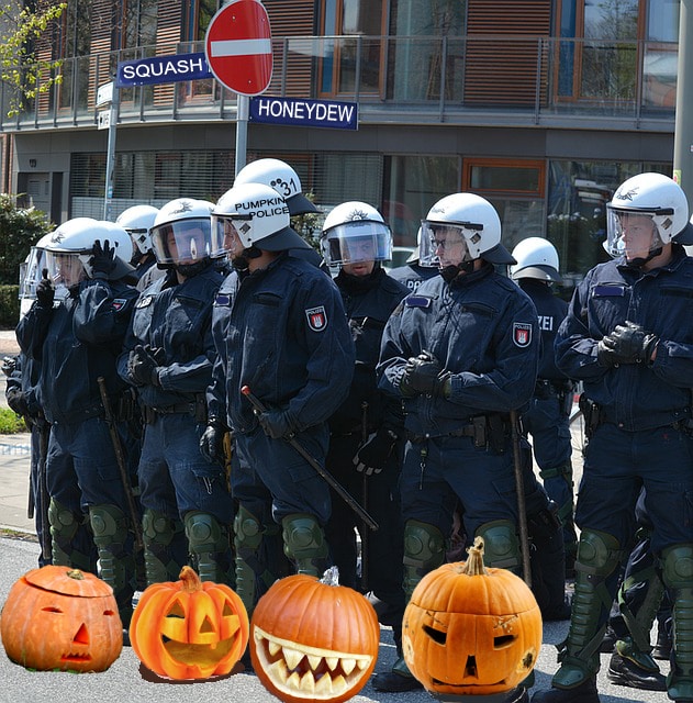 Police in riot gear standing in front of a group of pumpkins.