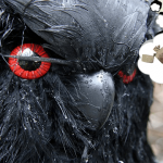 Halloween crow mask with red eyes.