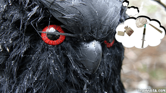 Halloween crow mask with red eyes.