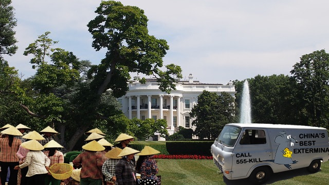 Chinese exterminators on White House lawn in Washington.