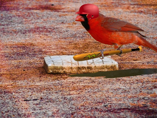 Parody cardinal wearing baseball cap and holding bat at home plate.