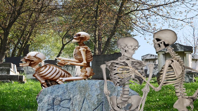 Skeletons having sex inside graveyard.