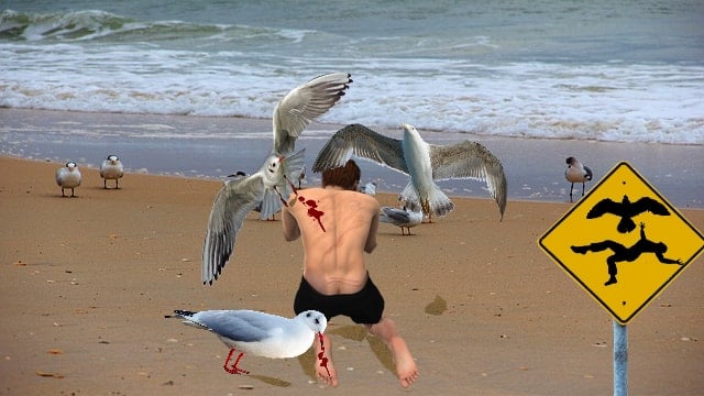 Naked man on beach getting attacked by ravenous seagulls.