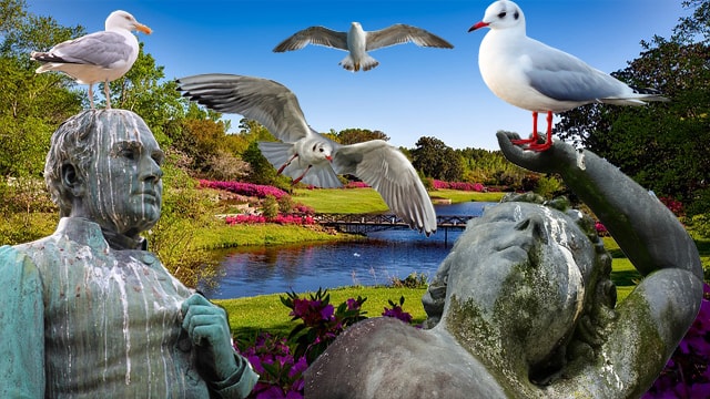 Seagulls defecating on statues.