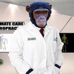 Chimpanzee wearing white lab coat posing as a chiropractor.