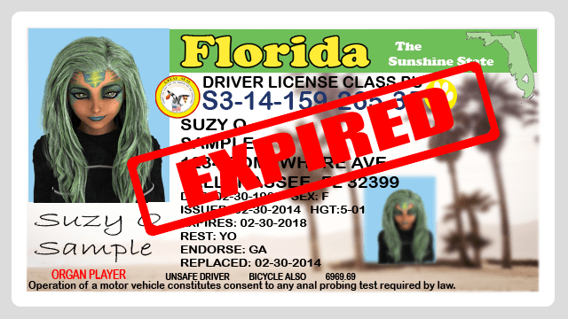 Parody Florida driver's license with beautiful woman's photo.