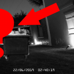 Security night camera capturing strange creature.