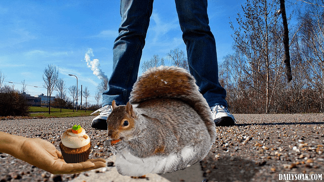 Two men feeding a very fat squirrel on sidewalk.