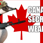 Canada goose wearing army helmet and holding assault rifle in front of Canadian flag.