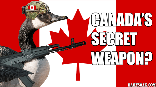 Canada goose wearing army helmet and holding assault rifle in front of Canadian flag.