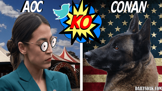 Alexandria Ocasio-Cortez staring at Conan military dog near American flag.