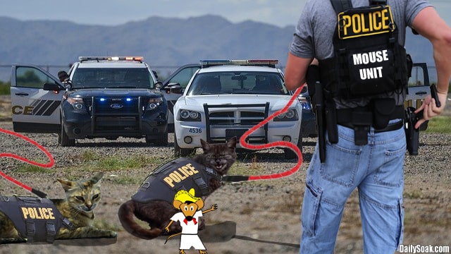 Police officers with cats on leashes arresting a mouse wearing white clothes.