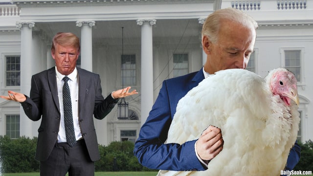 Donald Trump and Joe Biden with white turkey at White House.