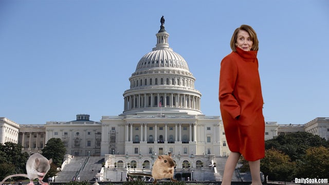 Nancy Pelosi in red jacket walking in front of Congress Capitol building.