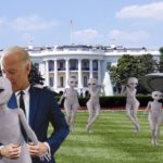 Joe Biden and numerous grey aliens standing in front of White House after letting them enter the earth's atmosphere..