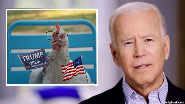 Joe Biden in blue suit standing next to white chicken.