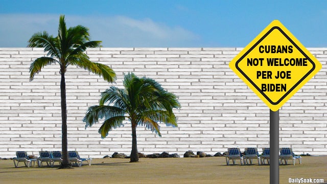 Large white border wall along beach in front of pal trees.