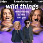 Wild Things parody poster starring Joe Biden, Kamal Harris, and Nancy Pelosi.