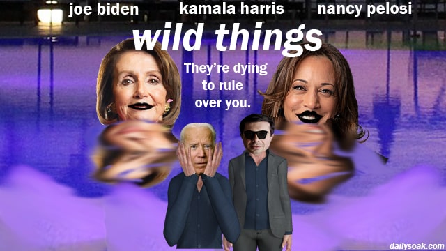 Wild Things parody poster starring Joe Biden, Kamal Harris, and Nancy Pelosi.