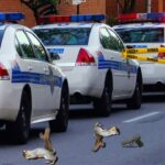 Two dead bloody squirrels on street in front of police car.