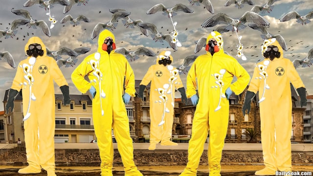 Five European men wearing yellow hazmat suits surrounded by hundreds of birds.