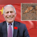 Dr. Fauci laughing against background of red flag of China.