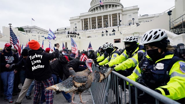 FBI photo showing Thanksgiving turkey standing on Capitol Building steps.