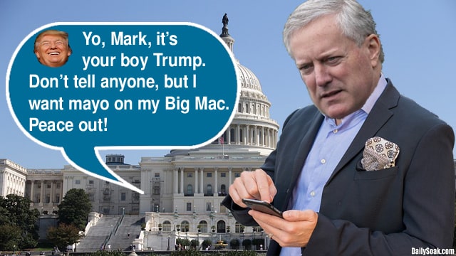 Mark Meadows texting on his smartphone standing in front of US Capitol Building on January 6.