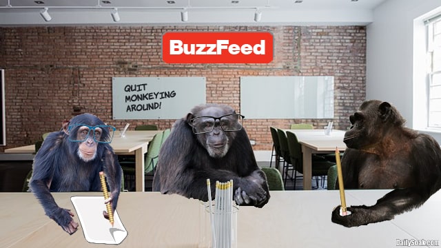 Three hairy chimpanzees sitting at a table inside Buzzfeed head office.