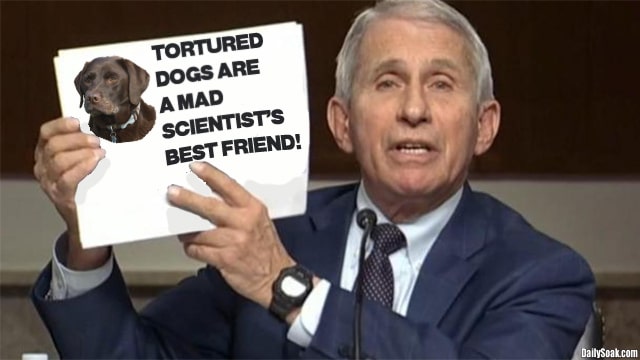 Dr. Fauci holding up a white piece of paper in the Senate.