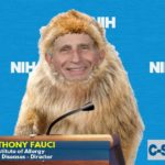 Political parody with Dr. Fauci dressed up as a CDC lab monkey.
