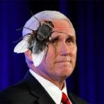 Fly sitting on the head of former Vice President Mike Pence.