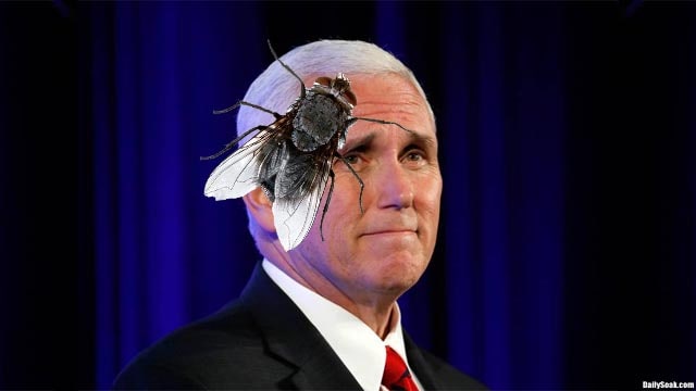 Fly sitting on the head of former Vice President Mike Pence.